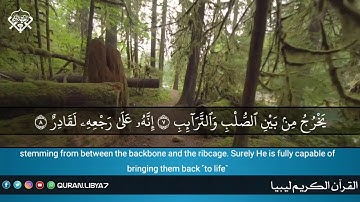 سورة الطارق للقارئ محمد كتي وفقه الله