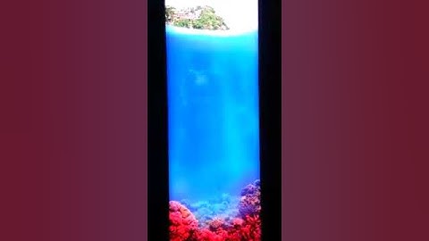 Light box with Animation LED