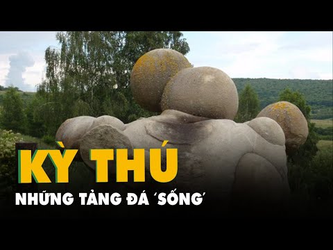 Video Kỳ thú những tảng đá 'sống' có thể lớn lên, sinh sôi... - youtube