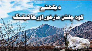 Chiltan Markhor & Hiking Trip | FeyrozaiVlogs |Beauty of Balochistan |2020|