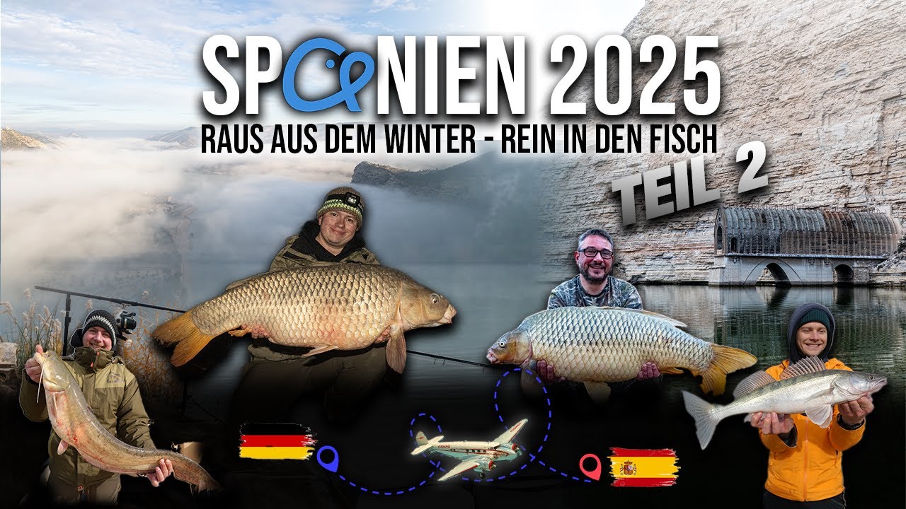 Angeln am Ebro 🇪🇸 im Winter ❄️| Große Karpfen, Zander und Welse 🐳 | P.R. Baits 🎣 | | Boilie