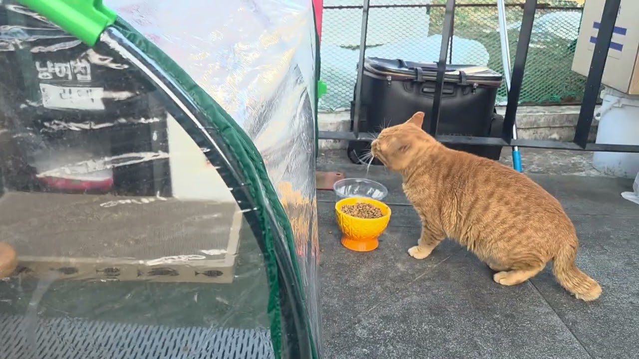 낯가리는 아이들~