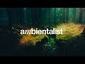 The Ambientalist - The Hidden Path (2020 Extended Mix)