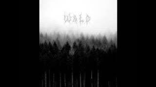 Wald - Schweigen (Full Demo)