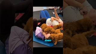 They Added Puppies to Yoga and Everything Changed πΆπ