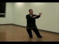 10 master cheung 37 posture yang short form