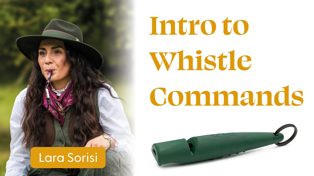 Into to whistle commands - YouTube