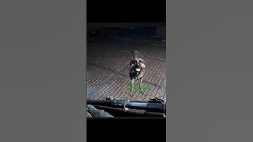 I added Unlockable Vanity Buddies to my Game  #gamedevblog #indie #gaming #games