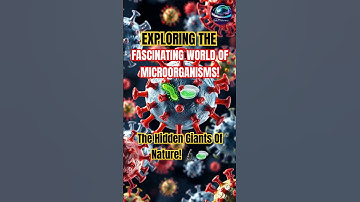🦠 The Hidden World Of MICROORGANISMS! 🤯🫣 #youtubeshorts #shortsfeed