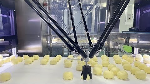 TICCO Robotics, robotic packaging of cakes, wrapper loading system