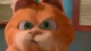 şemsettin bin arabaya garfield
