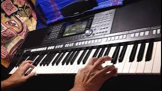 小小水仙花 Little Daffodil played on Yamaha PSR-S970 by Holmes #187