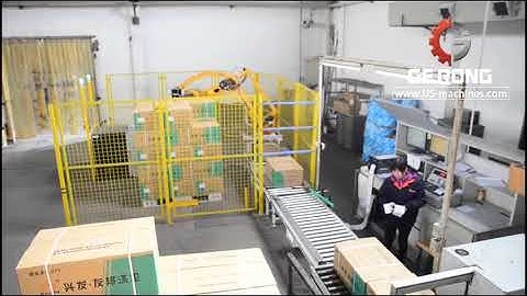Robot hand box palletizing machine automatic case palletizing line