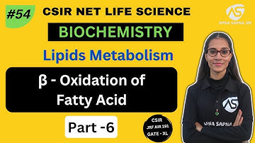 Beta Oxidation of fatty acid | Lipid Metabolism | BIOCHEMISTRY | NET LIFESCIENCE