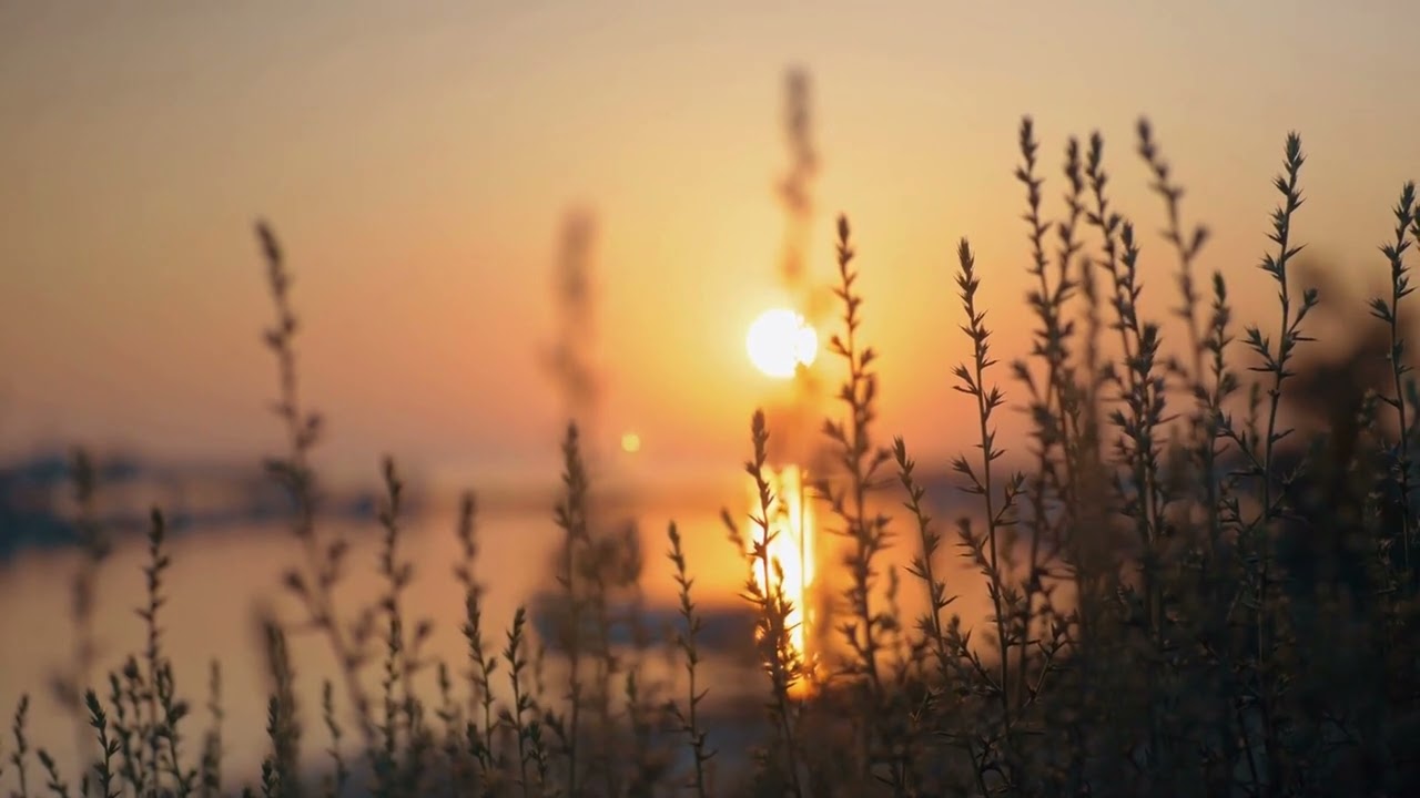 Cover Guided Meditation For Freedom Of The Mind | Free The Mind And Soul Of All Stress And Anxiety