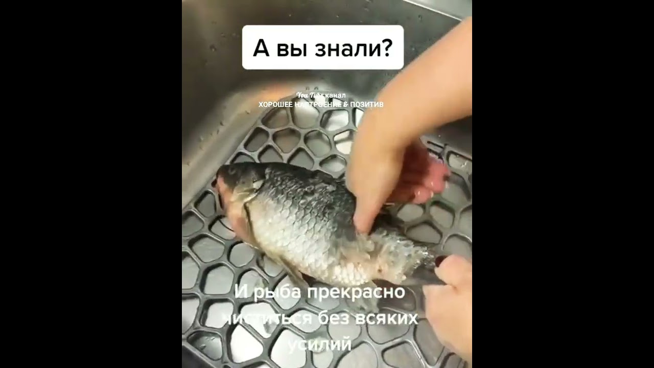 Приспособление для очистки рыбы от чешуи. Лайфхаки для чистки рыбы. Как почистить рыбу от чешуи быстро. Лайфхак как почистить рыбу. Лайфхак как чистить рыбу.
