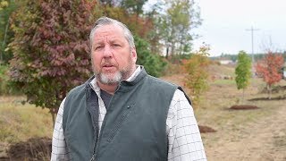 Fall Cleanup Time: How to Care for Your Trees
