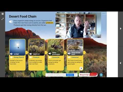Desert Food Chain