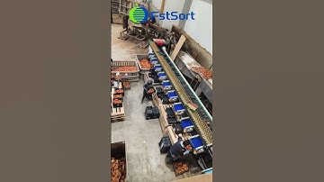 Fstsort Sweet Potato Optical Sorting Line in Austria,Root Vegetable Processing Machines