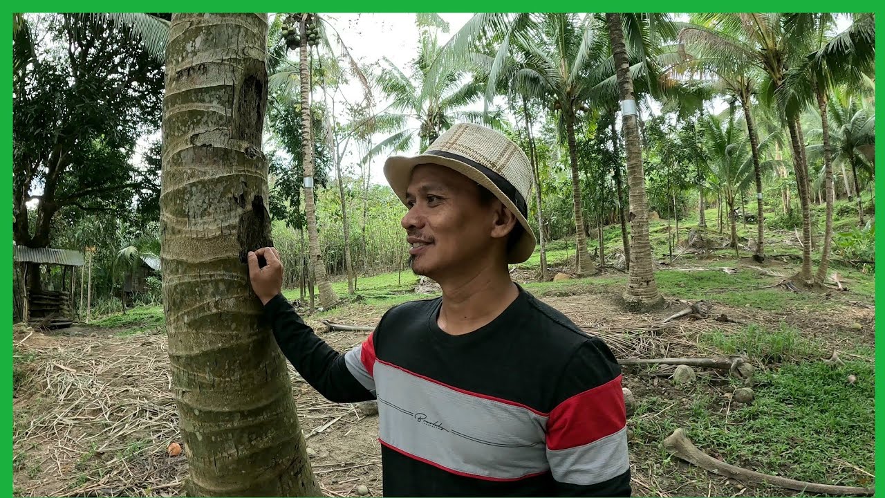 May UPDATE PO SA LUPA NA AMING NIRENTAHAN PARA SA AMING ALAGA..ILANG TAON NA ANG NALANG KAYA?