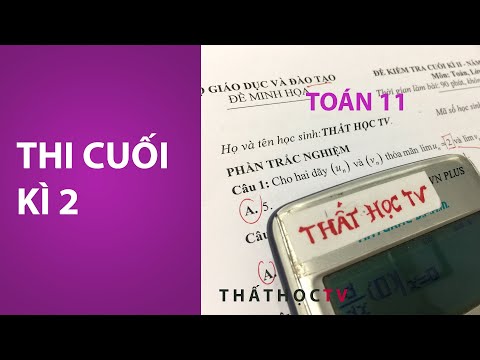 Giải Đề Kiểm Tra Cuối Kì 2 Môn Toán 11 Đề Bộ Giáo Dục