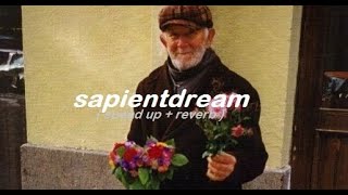 sapientdream ( speed up+ reverb+ bass bosted ) tik tok music (audio)