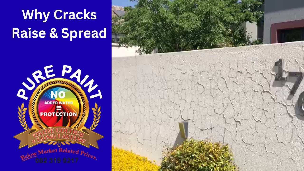 How to Identify Mud Cracking on Walls Causes & Signs Explained YouTube