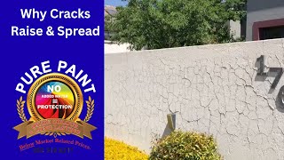 How to Identify Mud Cracking on Walls | Causes & Signs Explained