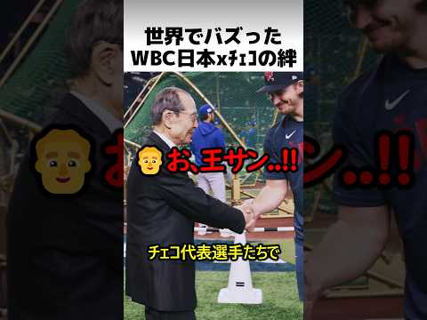 世界でバズったWBCチェコとの絆のサムネイル
