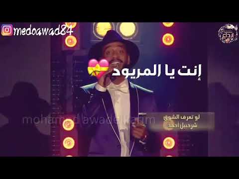 أمجد شاكر لو تعرف الشوق حالات وتساب