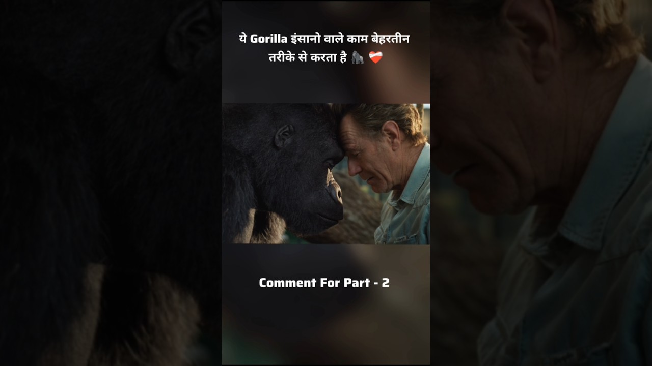 इस गोरिल्ला की पेंटिंग ने सबका दिल जीत लिया 🦍💔