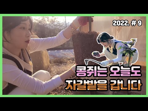 집 앞에 5평짜리 텃밭과 화단을 만들어요
