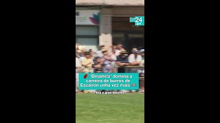 🏁 ESCAIRÓN | 'Dinamita' é coroado por cuarta vez: o burro máis veloz e adestrado da carreira