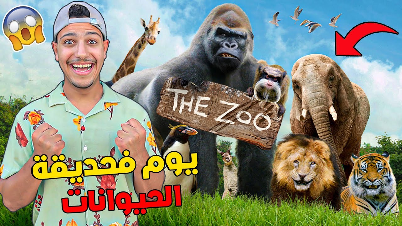 أخيرا ..فاجأت هشام وديتوا لأكبر حديقة حيوانات🐯حماق بالفرحة 😲❗