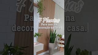 Decore com plantas #decoracaocriativa  #plantas #decorecomplantas  #casa #donadecasa