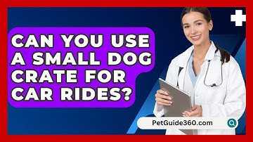 Can You Use A Small Dog Crate For Car Rides? - PetGuide360.com
