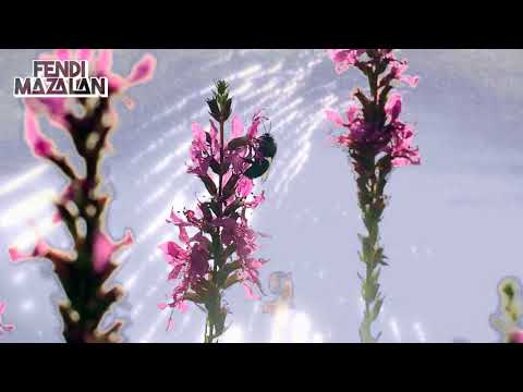 Romantic Ramadhan video 8 : Autumn Whisper