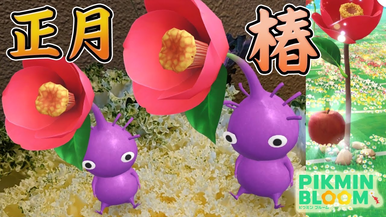 Pikmin Bloom新年迎えたら椿が咲いた 白いつばきも咲くらしい ピクミン ブルーム ピクミンgo Youtube Pikmin Bloom新年迎えたら椿が咲いた 白いつばきも咲くらしい ピクミン ブルーム ピクミンgo Youtube