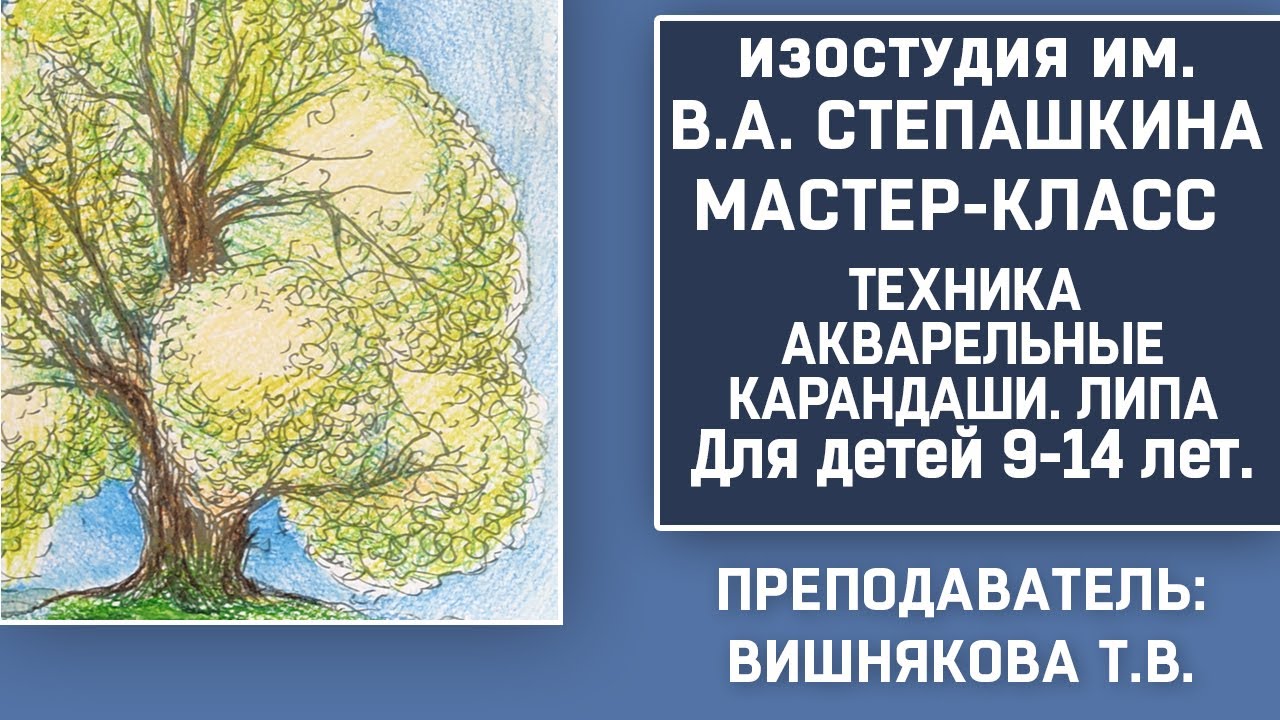 Зарисовка липы акварельными карандашами. Урок для детей 9-13 лет