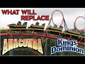 What Will Replace Anaconda at Kings Dominion?