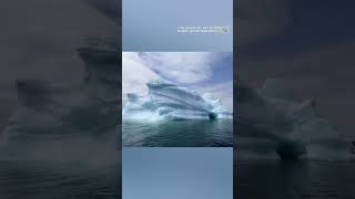 Giant icebergs make their way through 'Iceberg Alley' off the coast of Newfoundland and Labrador