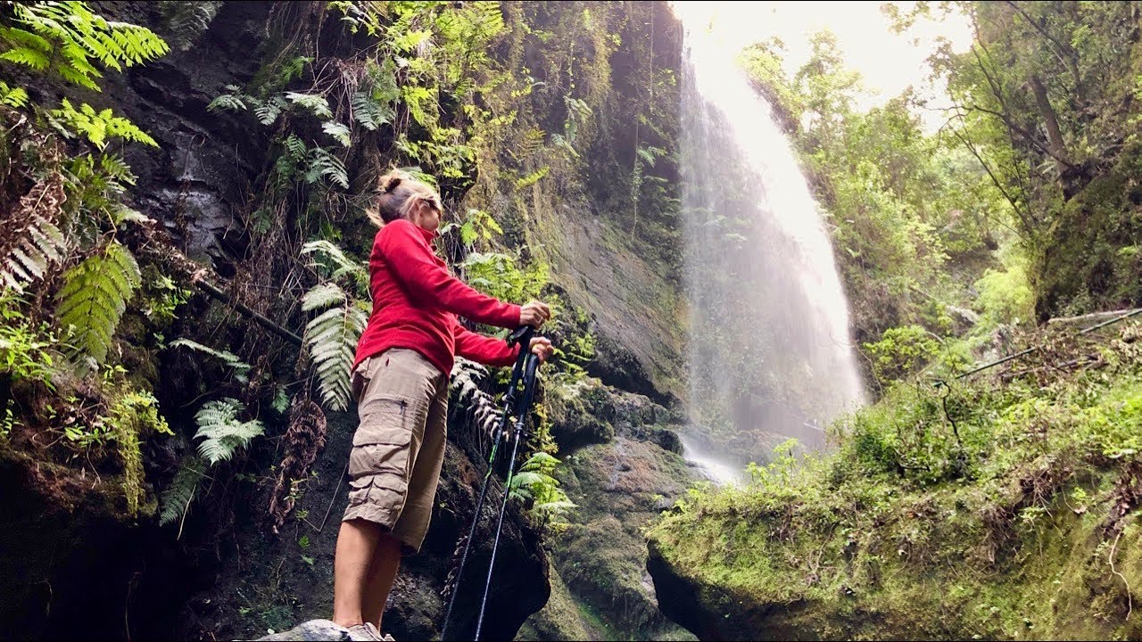 La Palma: Los Tilos  mit Lorbeerwald und Levada-Tunnel