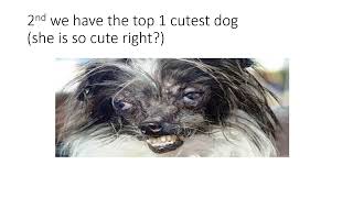 Welcome To This Is A Normal Video