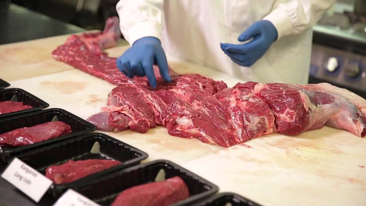 Paroo Kangaroo Masterclass