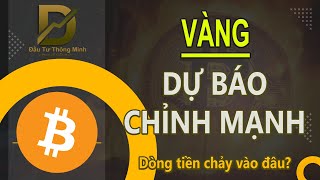 VÀNG DỰ BÁO CHỈNH MẠNH - dòng tiền chảy về đâu? #daututhongminh #bitcoin #ethereum