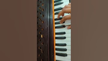 nagin tune 🐍 / harmonium / #shorts #viral #shortsfeed #trending #yt #cg #music #instrumental #song