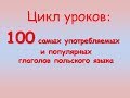 Польский урок. 100 глаголов в спряжении