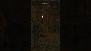 Reakcja Bloodwyna na wejście do świątyni Kruka #gothic2 #gothic2mod #gothic2nockruka #pcgaming #pc