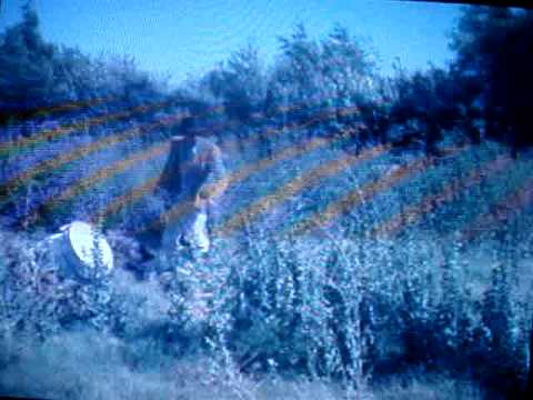 Ranker Video