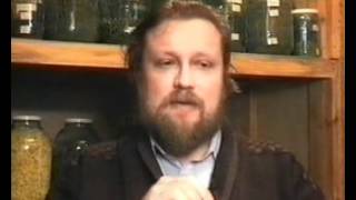 лабазник обыкновенный реферат